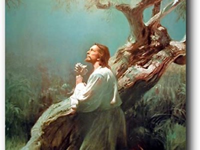 Exvangelical Musings: Tree-Huggers for Christ – An Ecocritical Bible&nbsp;Study