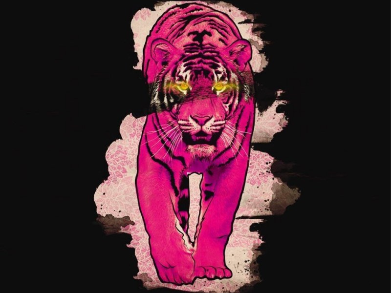 My Story: The Tiger-Eyed Kid – An Exvangelical’s Tale of Amazing&nbsp;Grace